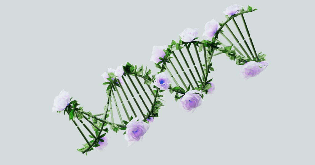 DNA double helix model adorned with flowers, representing genetic factors in bipolar disorder research.
